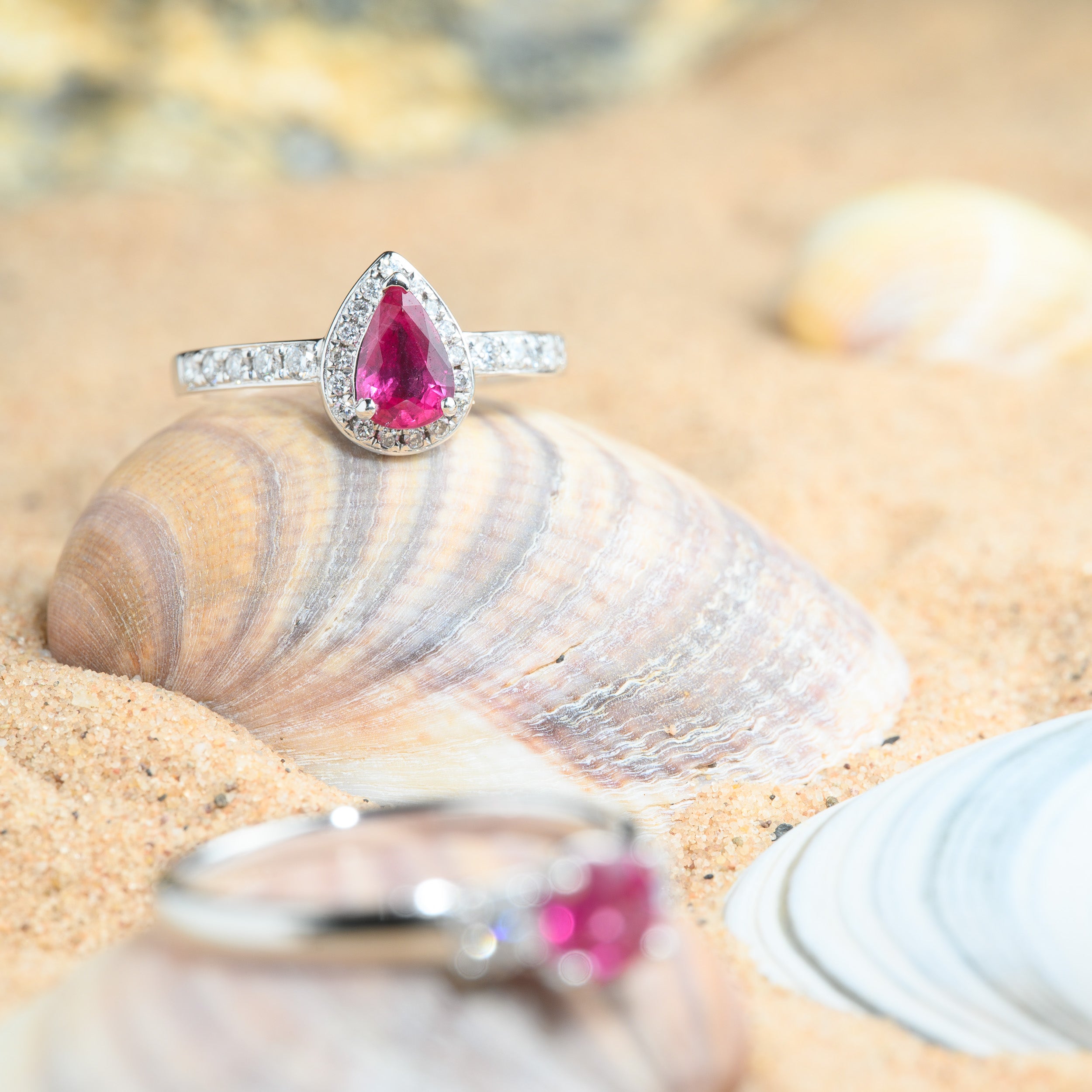 Ruby rings on shells on the beach